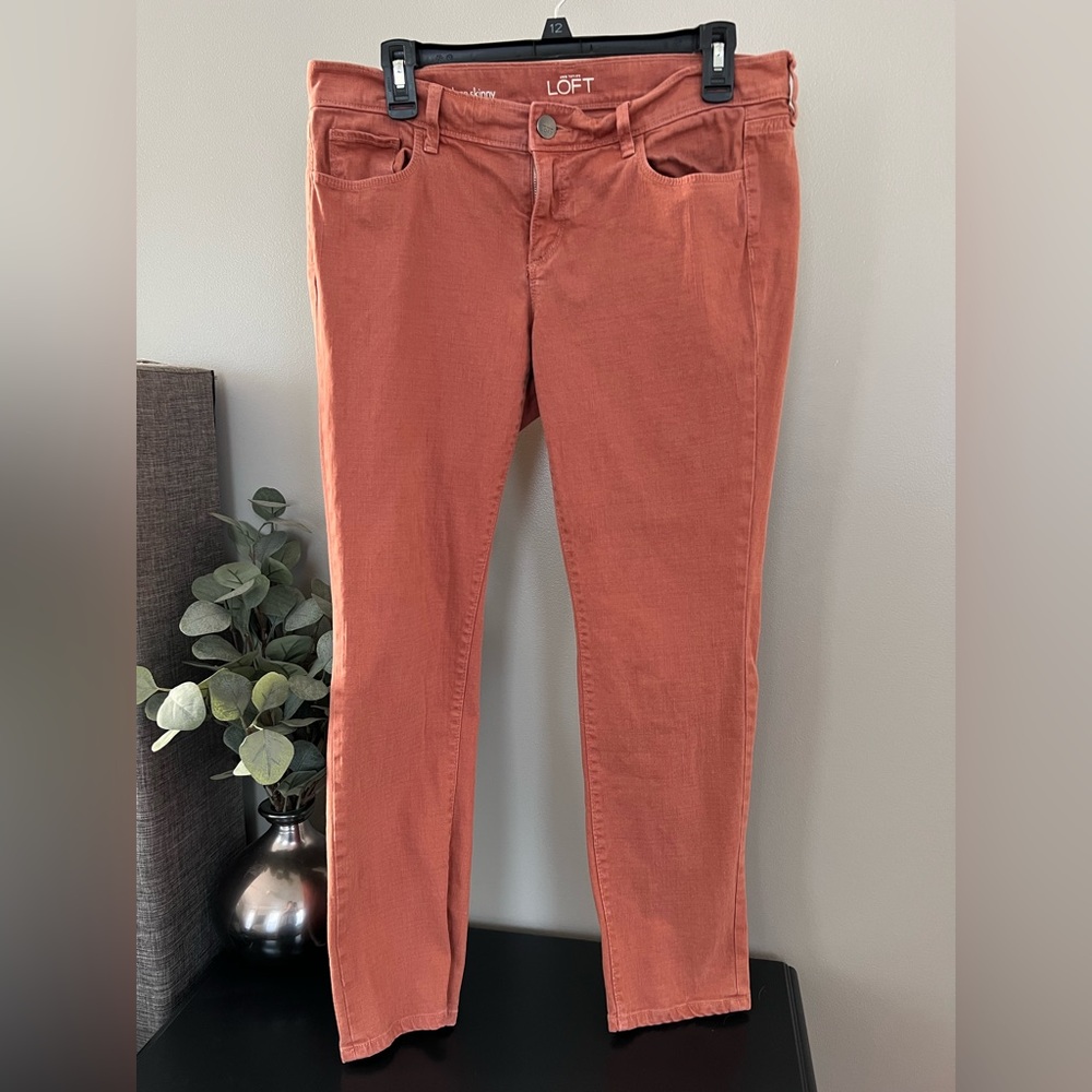 Ann Taylor Loft Skinny Jeans